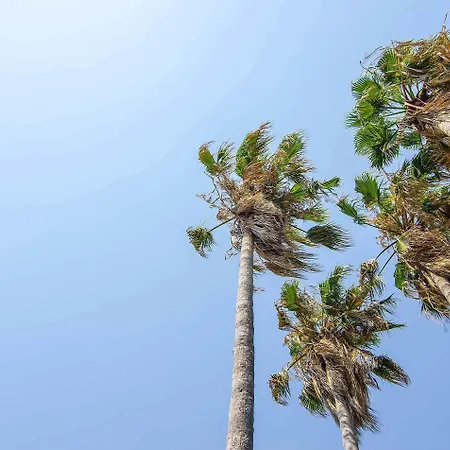 Курортный комплекс Atlantique Club Кушадасы