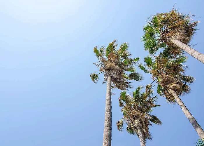 Rezort Atlantique Club Kusadası